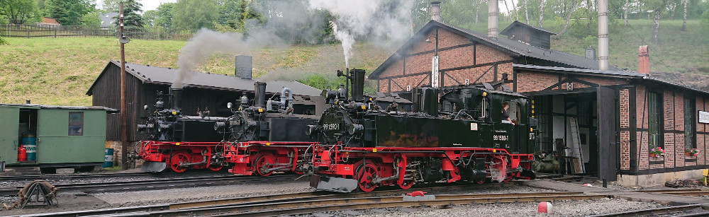 Züge in freier Wildbahn